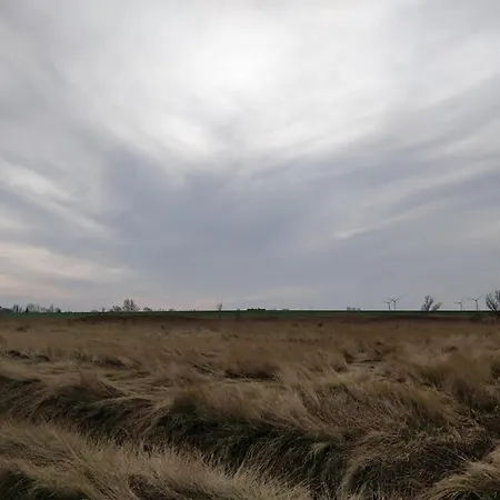 Vind - Daenische Gemuetlichkeit