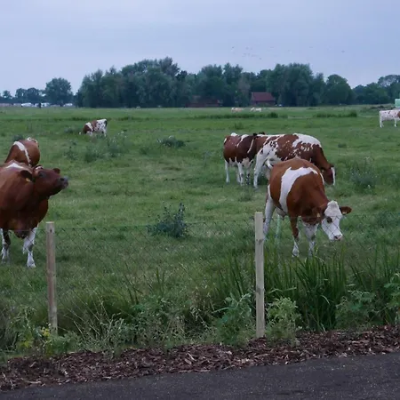 Vind - Daenische Gemuetlichkeit * Sehestedt (Lower-Saxony)