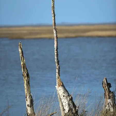 Vind - Daenische Gemuetlichkeit Feriehus Sehestedt (Lower-Saxony)